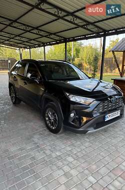 Позашляховик / Кросовер Toyota RAV4 2020 в Коростені
