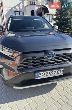 Внедорожник / Кроссовер Toyota RAV4 2020 в Копычинце