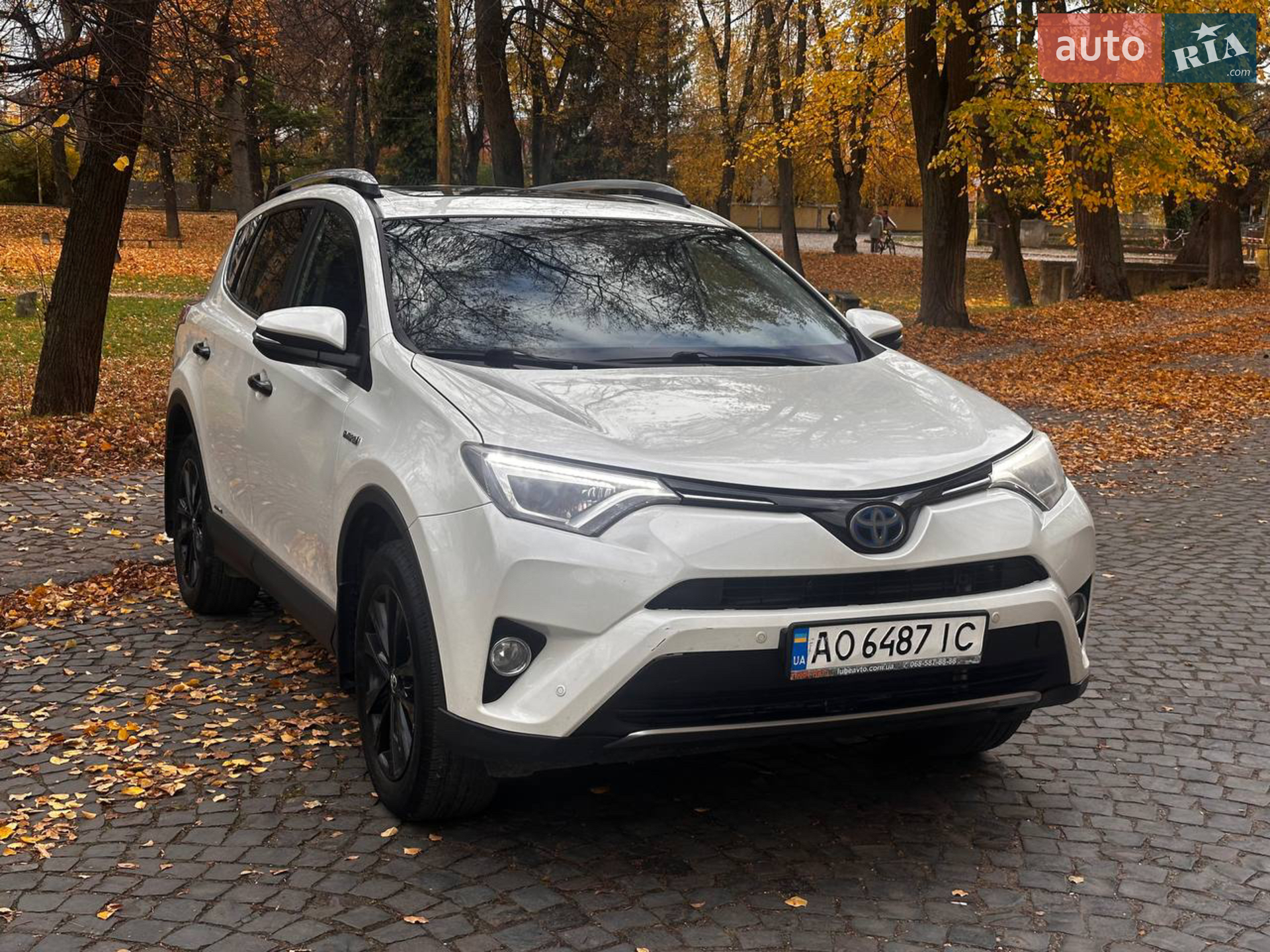 2018 Toyota RAV 4 - мініатюра 3