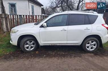 Позашляховик / Кросовер Toyota RAV4 2010 в Чернігові
