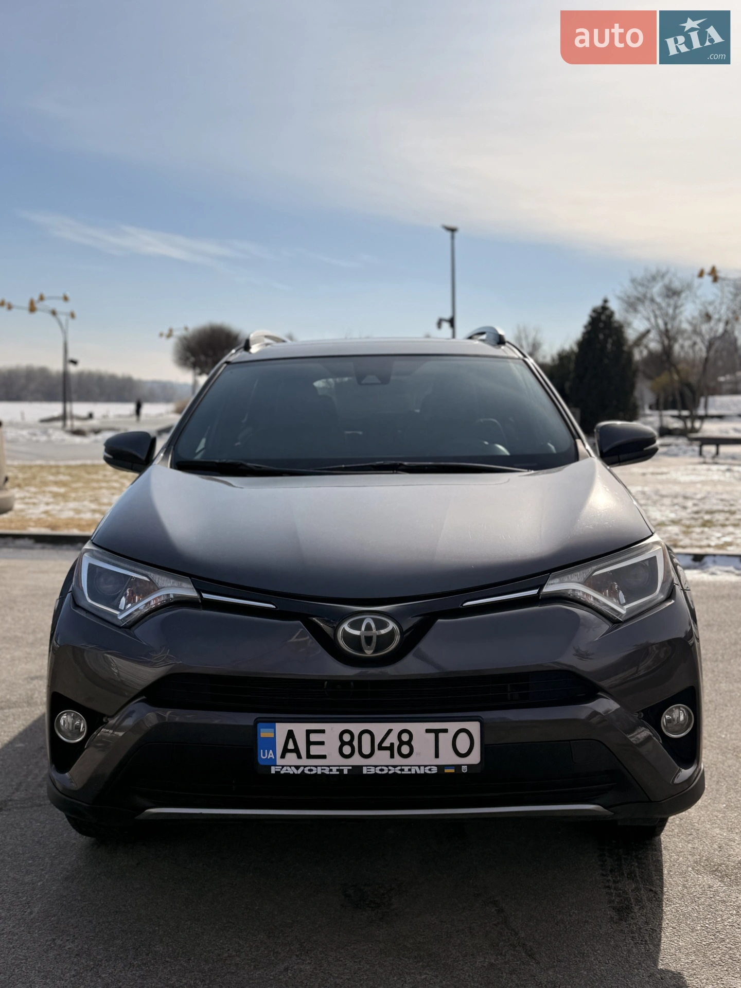 2018 Toyota RAV 4 - мініатюра 2