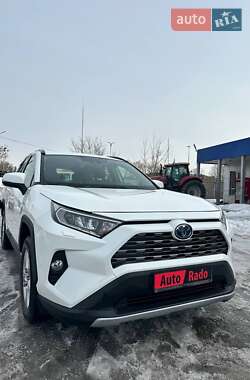 Позашляховик / Кросовер Toyota RAV4 2021 в Радомишлі