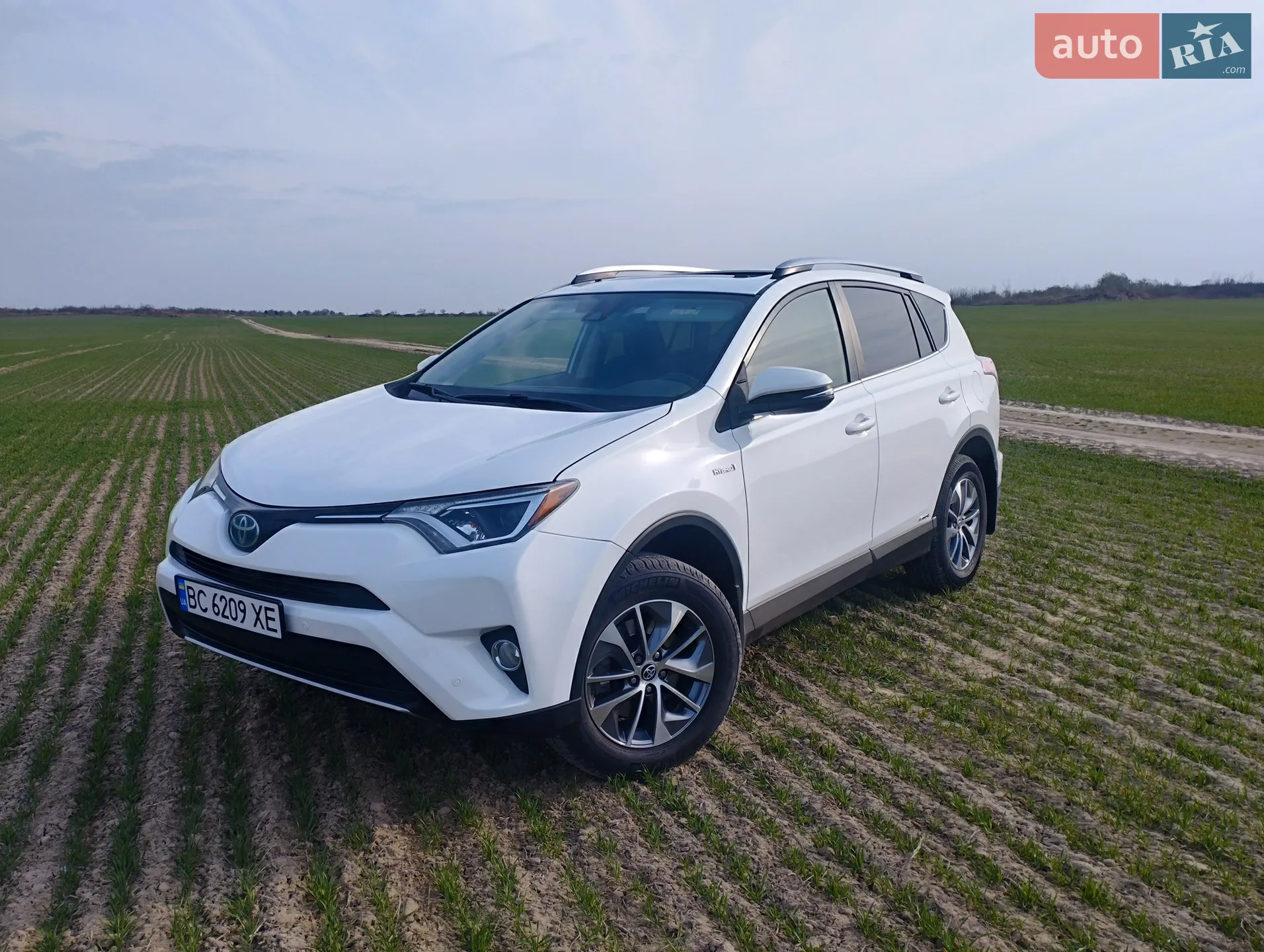 2017 Toyota RAV 4 - мініатюра 2