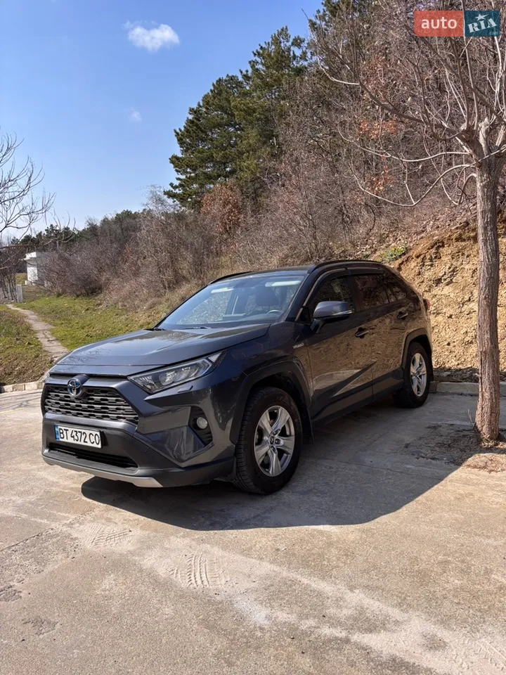 2019 Toyota RAV 4 - мініатюра 14