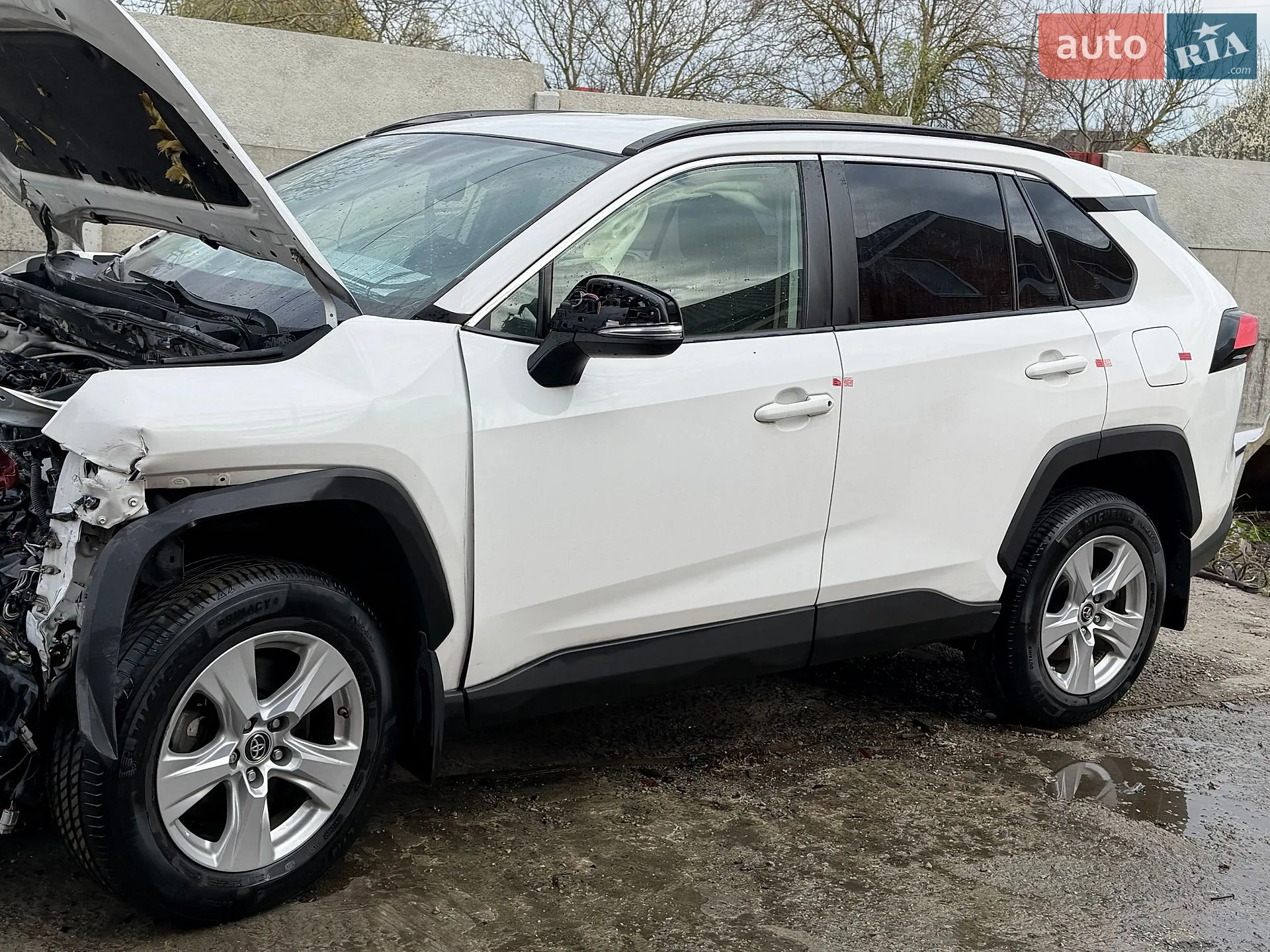 2019 Toyota RAV 4 - фото 1