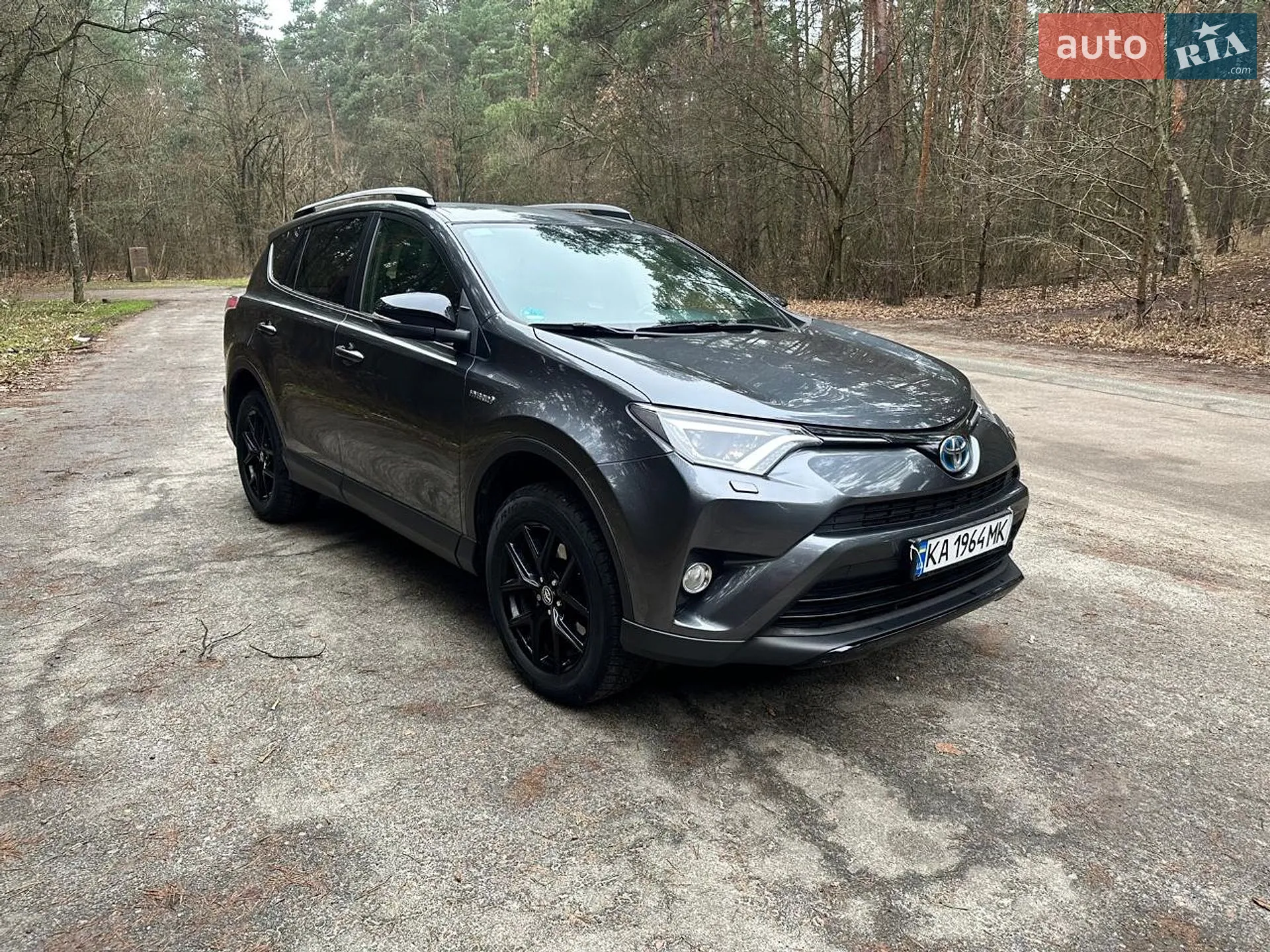 2017 Toyota RAV 4 - мініатюра 2