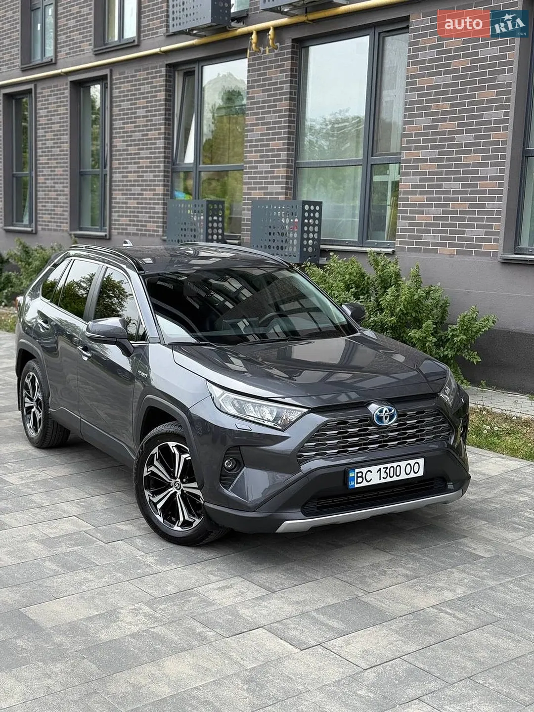 2019 Toyota RAV 4 - фото 1