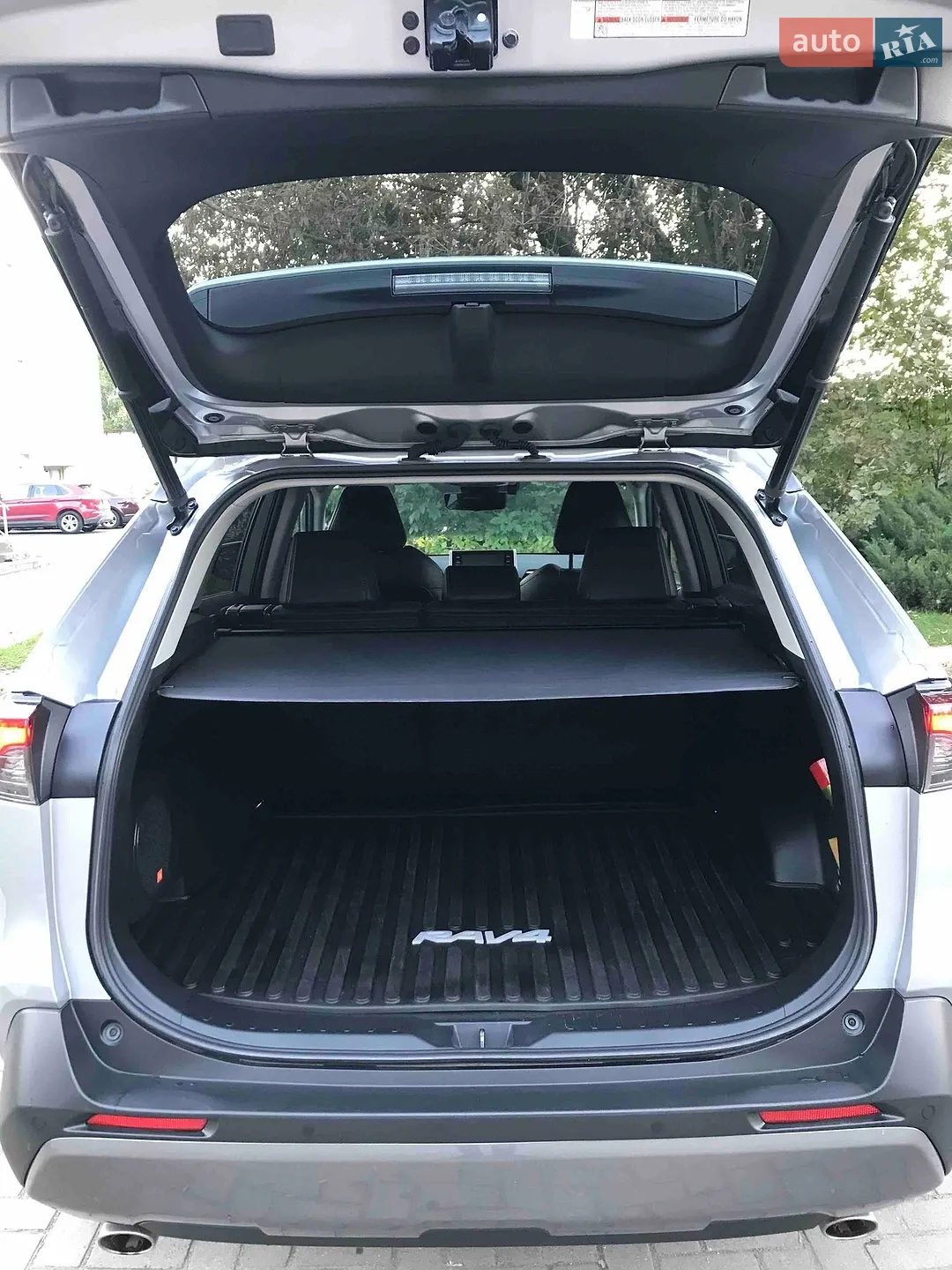 2019 Toyota RAV 4 - мініатюра 2