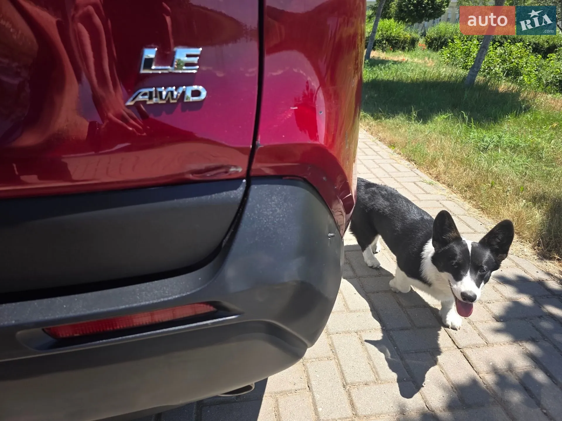2023 Toyota RAV 4 - мініатюра 17