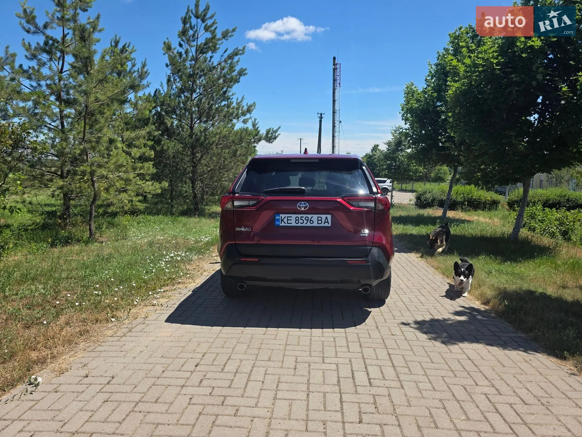 2023 Toyota RAV 4 - мініатюра 5