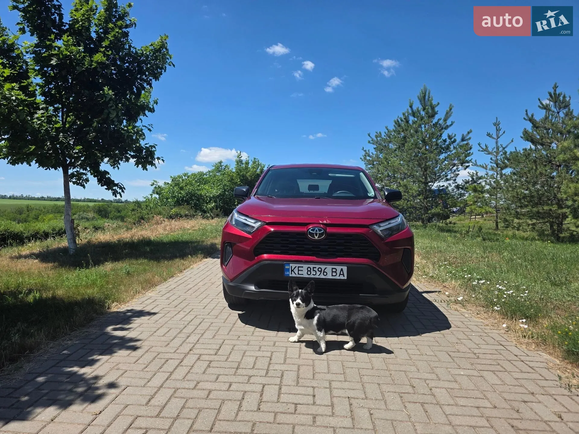 2023 Toyota RAV 4 - мініатюра 8