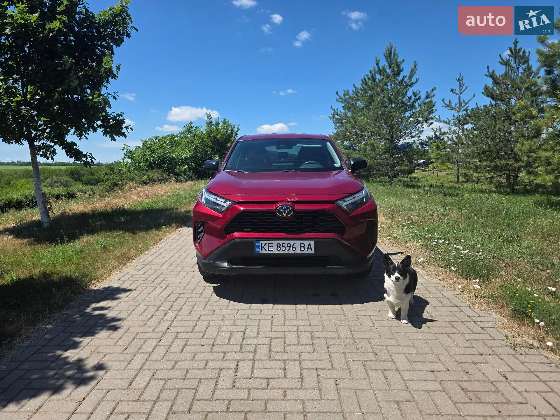 2023 Toyota RAV 4 - мініатюра 9