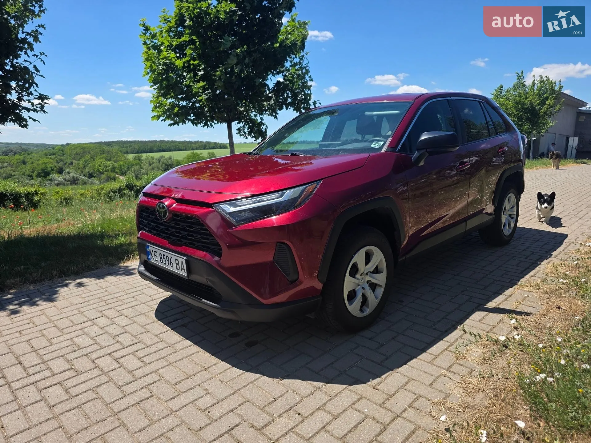 2023 Toyota RAV 4 - мініатюра 11