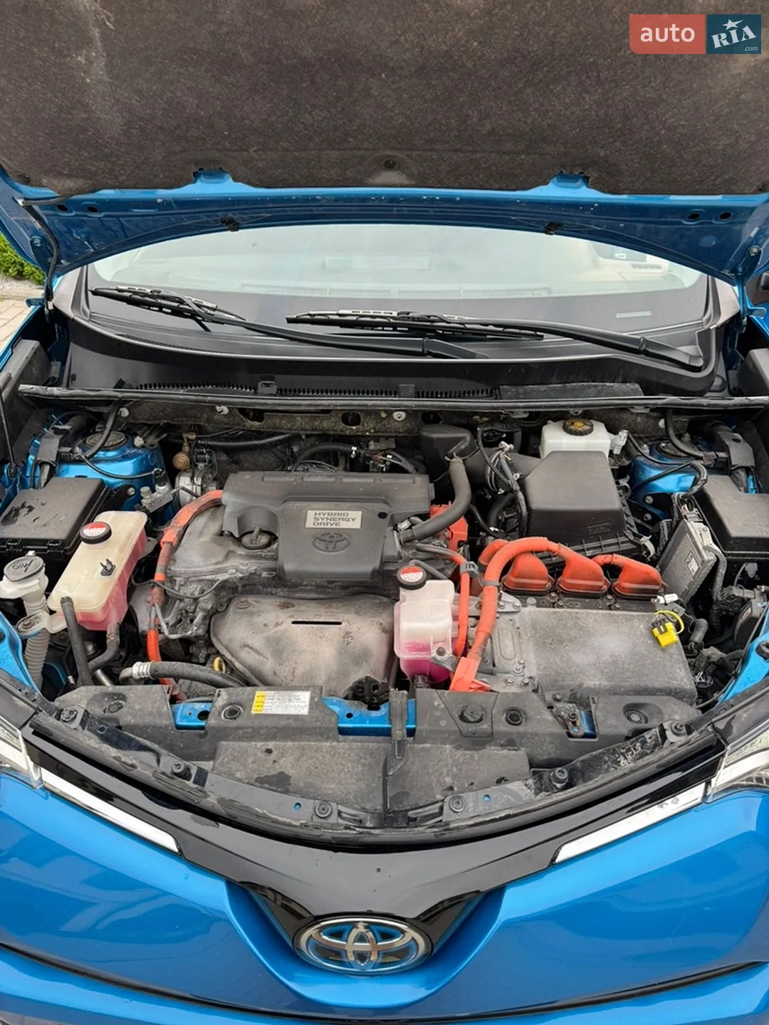 2016 Toyota RAV 4 - мініатюра 14