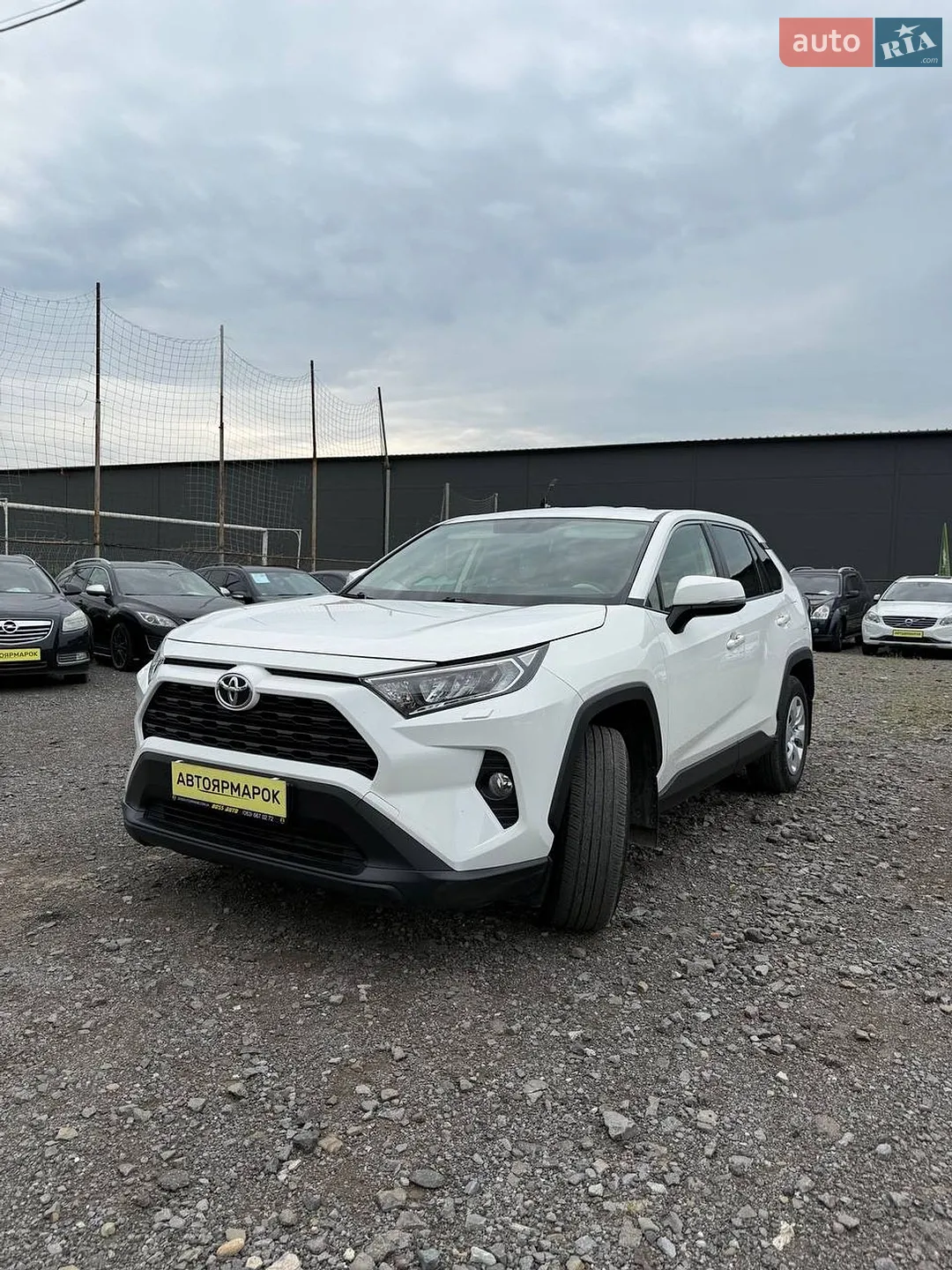 2019 Toyota RAV 4 - фото 1