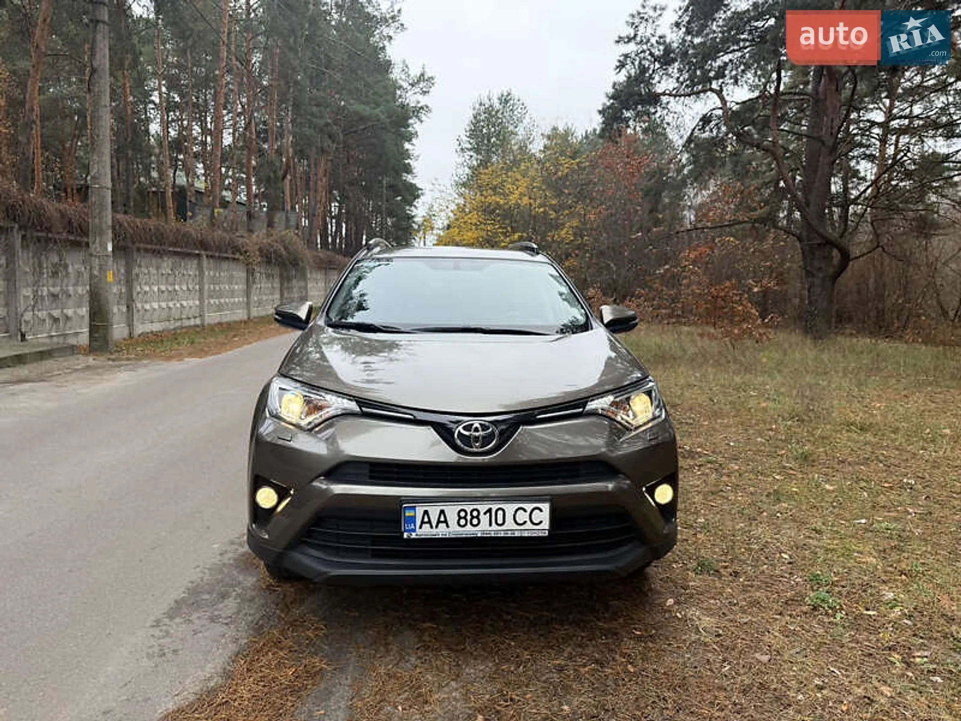 2018 Toyota RAV 4 - мініатюра 5