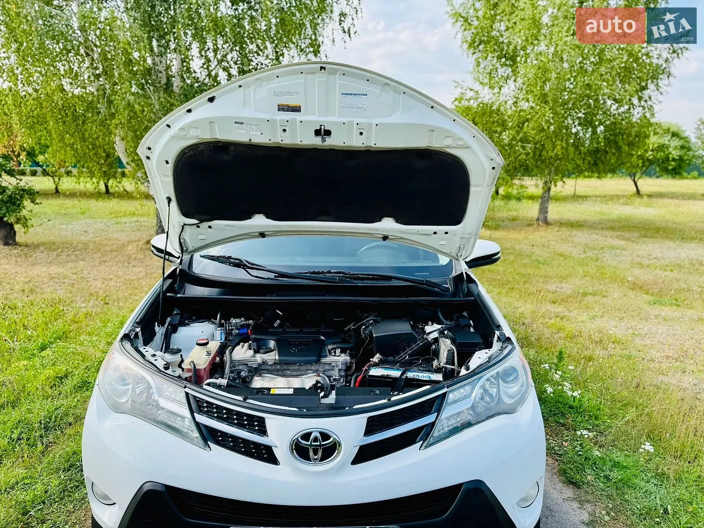 2015 Toyota RAV 4 - мініатюра 17