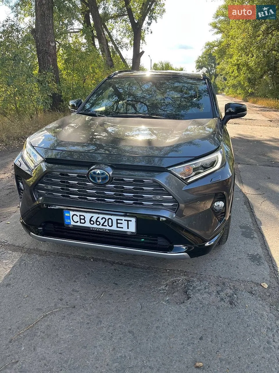2019 Toyota RAV 4 - мініатюра 2