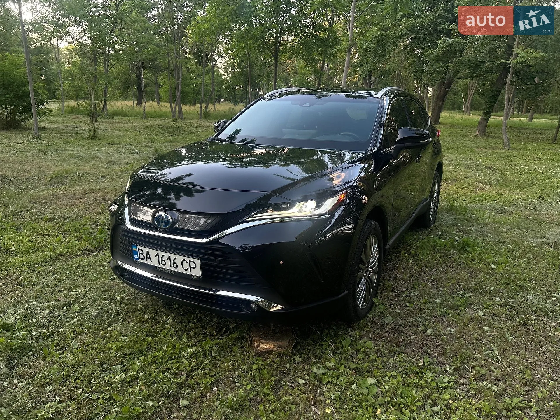 2023 Toyota Venza - мініатюра 12