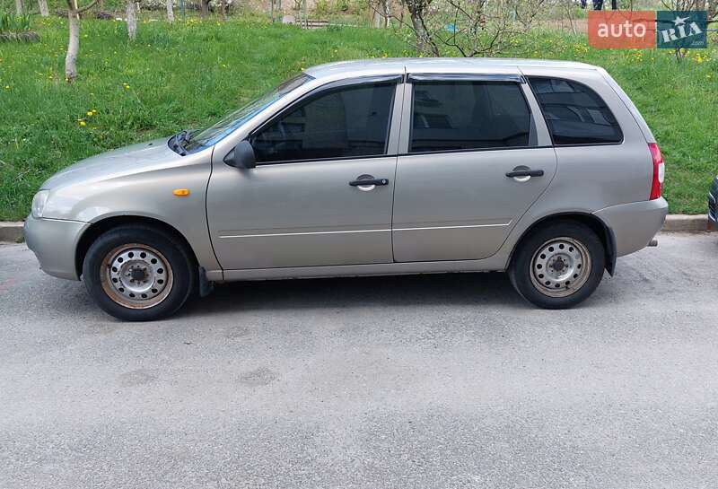 Универсал ВАЗ / Lada 1117 Калина 2008 в Тернополе