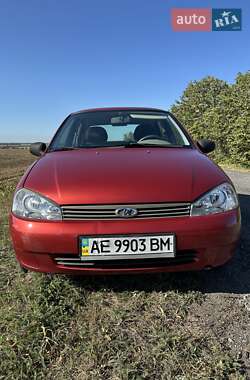 Универсал ВАЗ 1117 Калина 2007 в Днепре