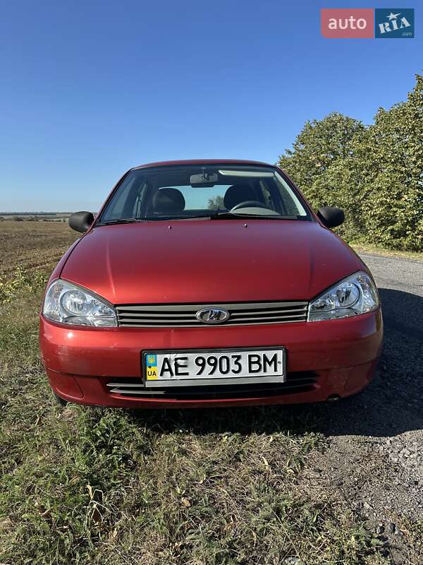 Универсал ВАЗ / Lada 1117 Калина 2007 в Днепре