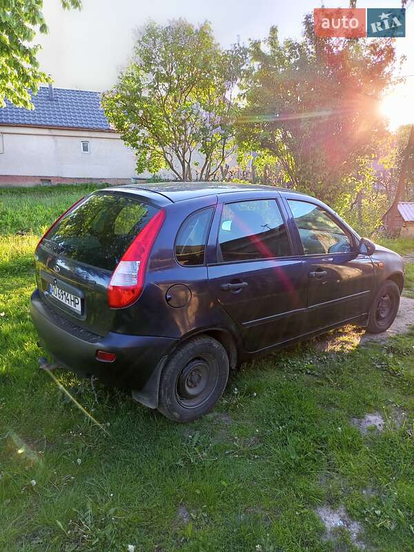 Хэтчбек ВАЗ / Lada 1119 Калина 2007 в Ужгороде