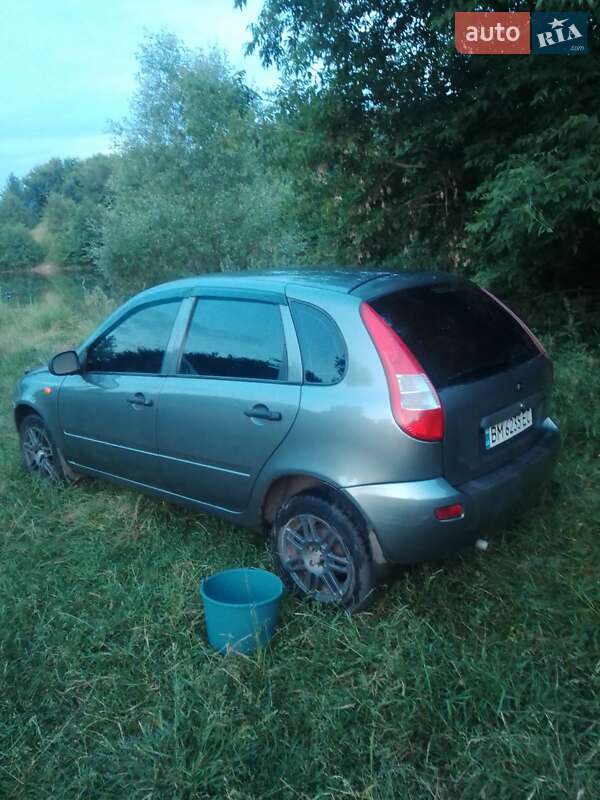 Хэтчбек ВАЗ / Lada 1119 Калина 2007 в Сумах