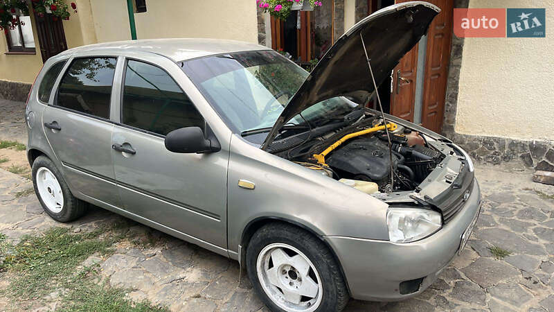 Хэтчбек ВАЗ / Lada 1119 Калина 2007 в Ужгороде