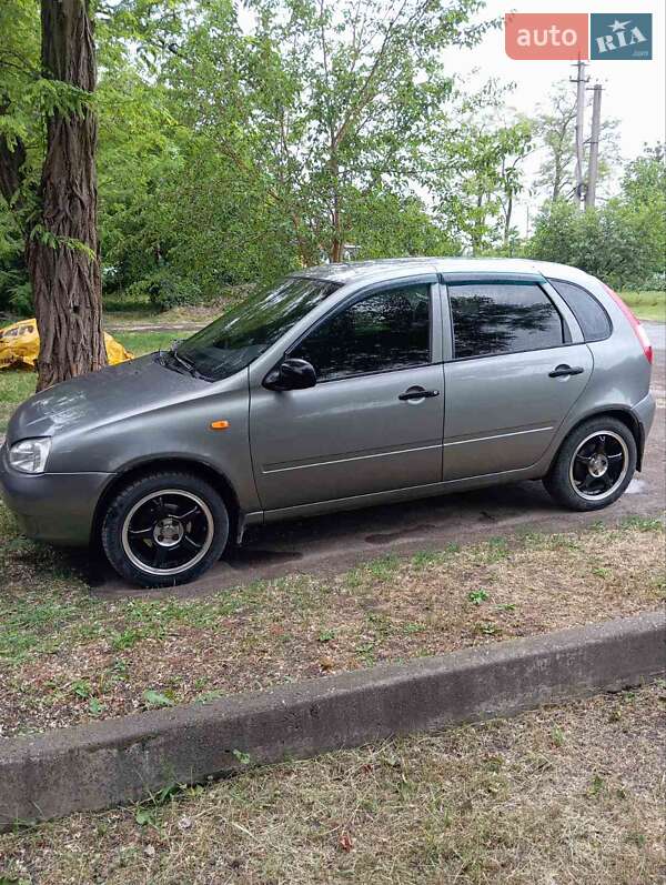 Хетчбек ВАЗ / Lada 1119 Калина 2007 в Знаменівці