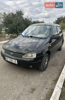 Хэтчбек ВАЗ 1119 Калина 2010 в Петриковке