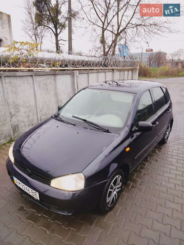 Хэтчбек ВАЗ / Lada 1119 Калина 2008 в Житомире