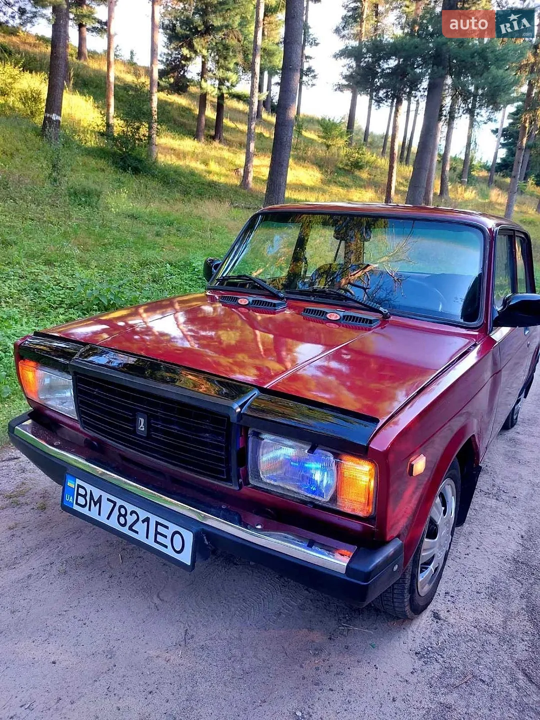 VAZ-Lada 2107 1991 VIN XTA210700M0619293 фото оголошення 16 з 20