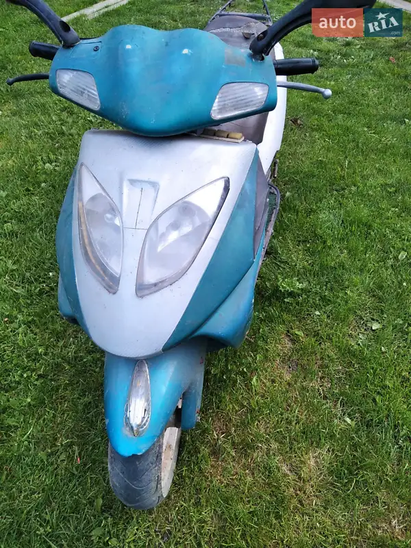 Viper 100 2010