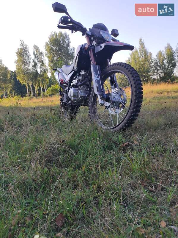 Мотоцикл Кросс Viper V 250l 2021 в Олевске