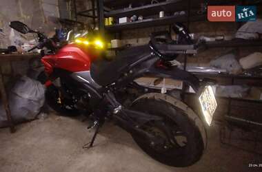 Мотоцикл Внедорожный (Enduro) Voge 300DS 2021 в 