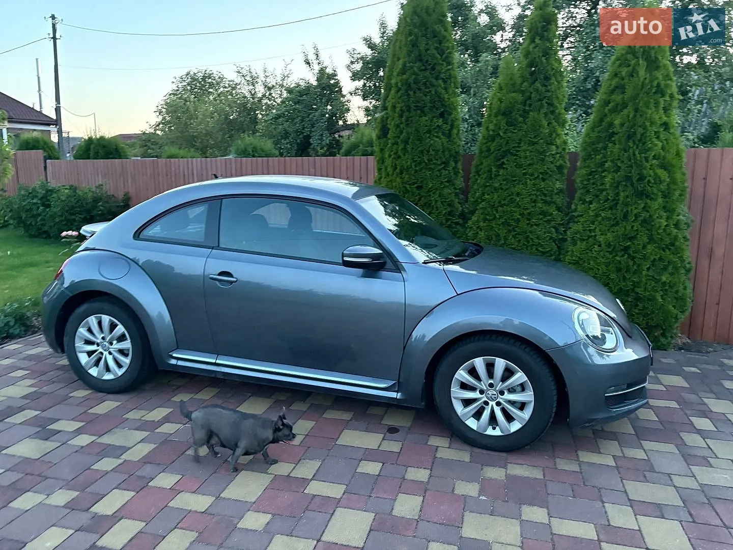 2019 Volkswagen Beetle - мініатюра 3