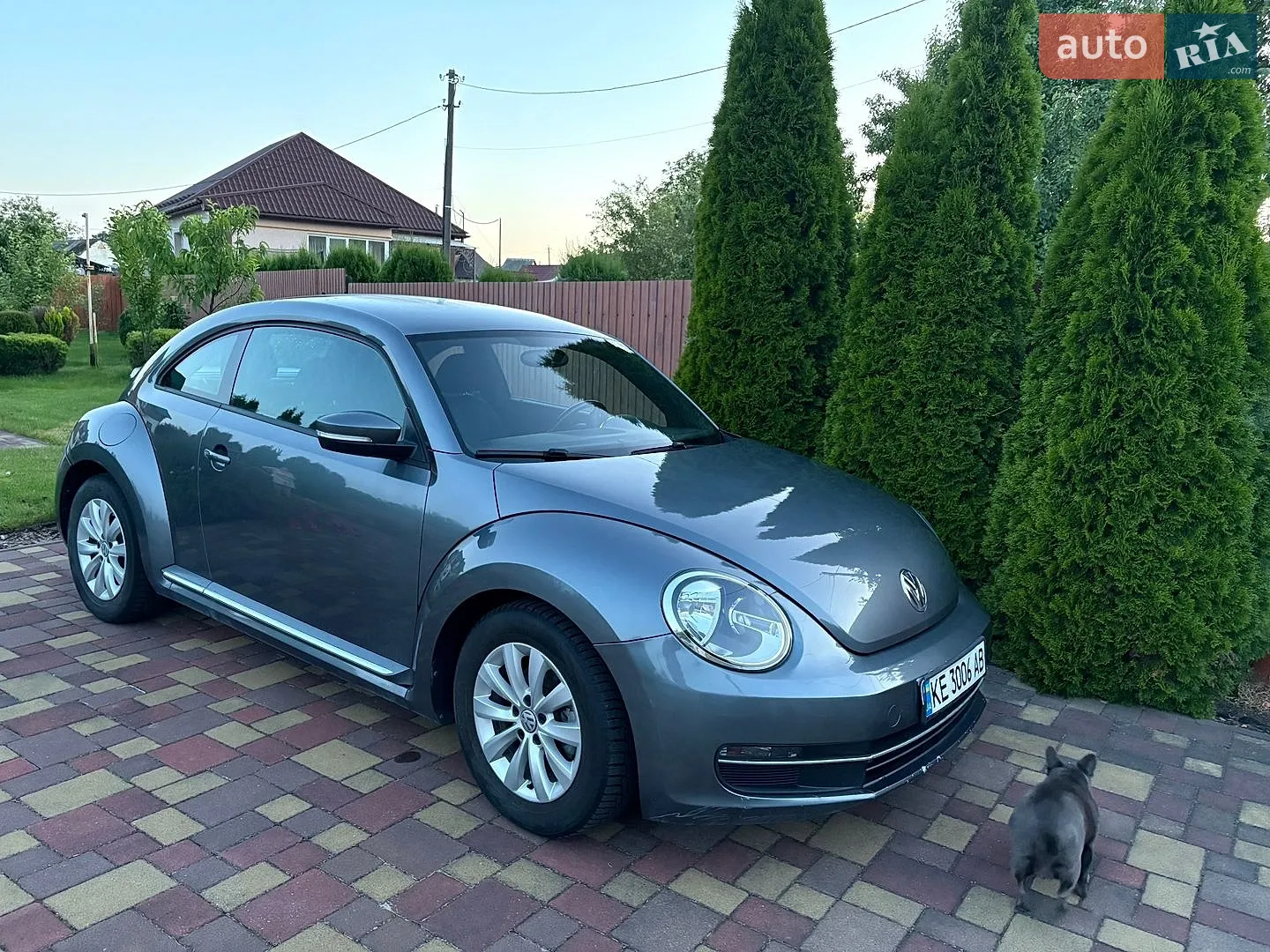 2019 Volkswagen Beetle - мініатюра 5