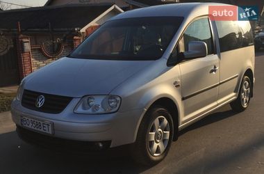 Мінівен Volkswagen Caddy 2010 в Заліщиках