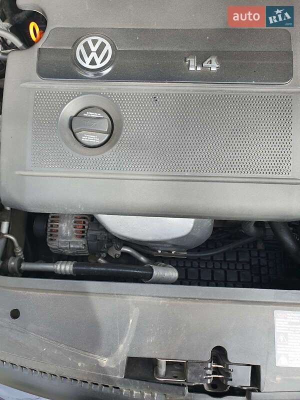 Хетчбек Volkswagen Golf Plus 2006 в Житомирі