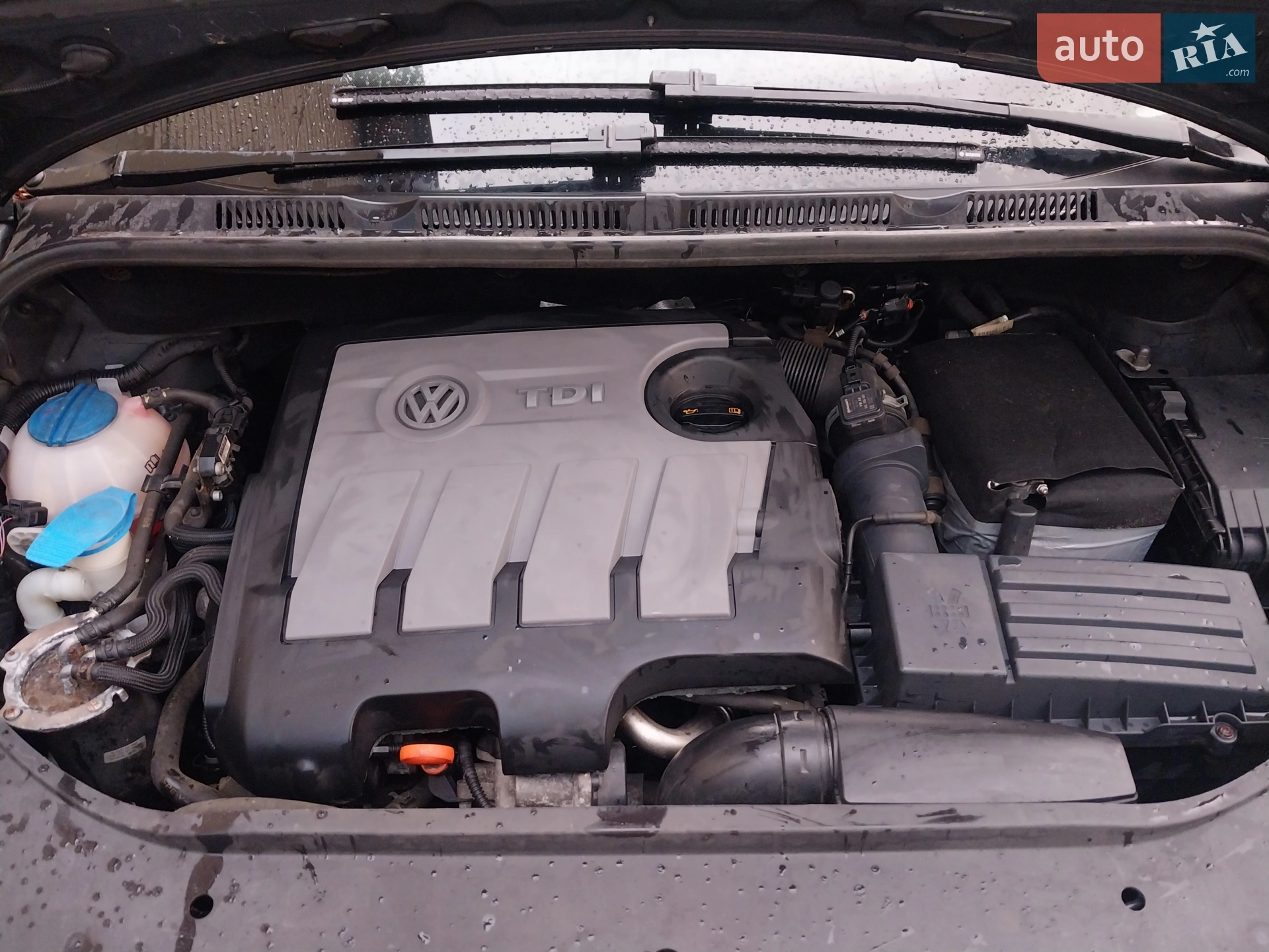 2010 Volkswagen Golf Plus - мініатюра 45