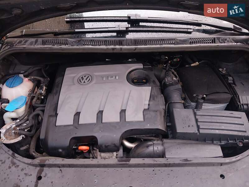 Хетчбек Volkswagen Golf Plus 2010 в Ходореві