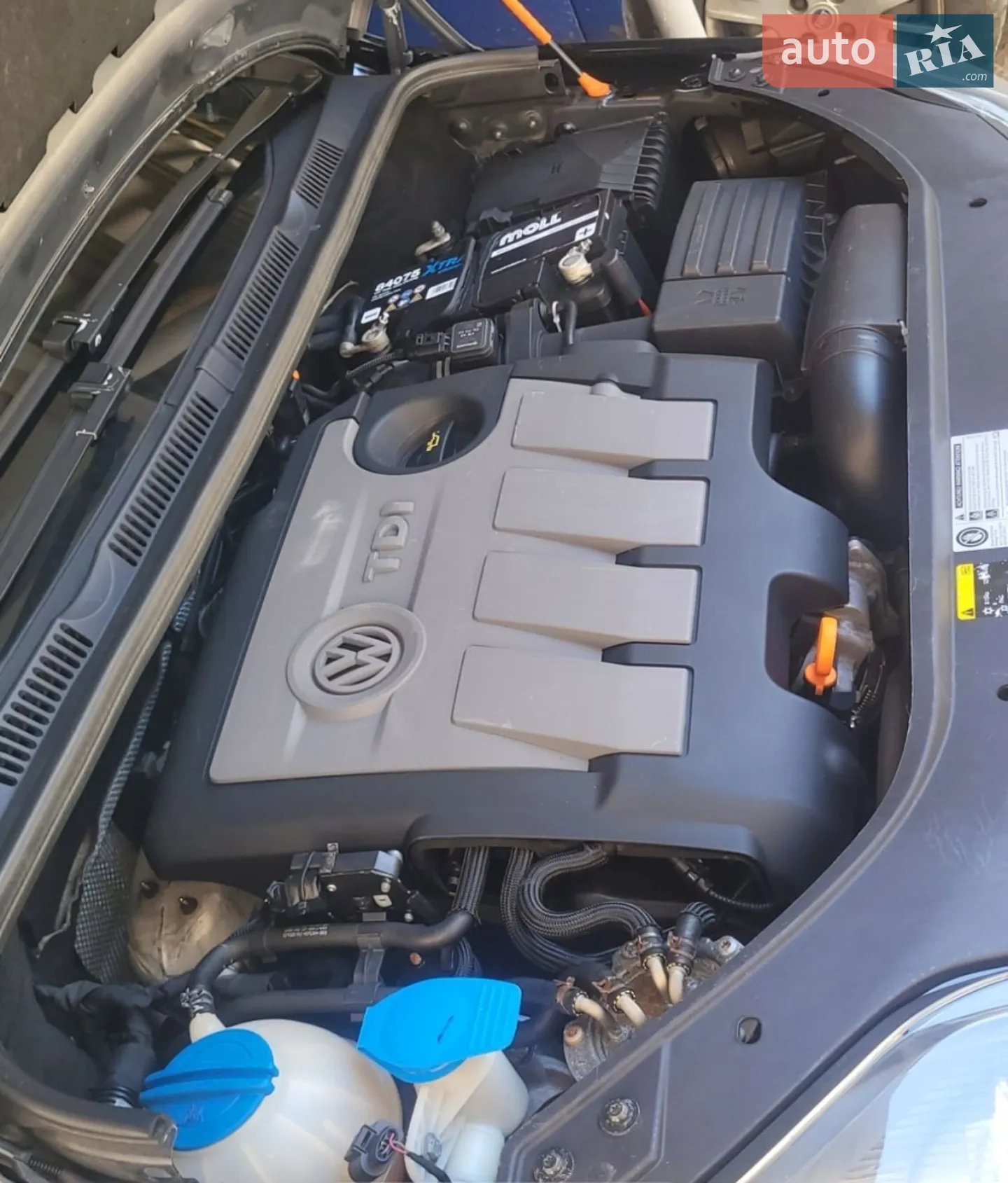 2010 Volkswagen Golf Plus - мініатюра 41