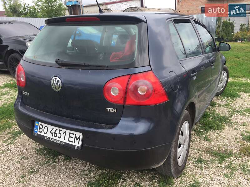Хетчбек Volkswagen Golf 2008 в Тернополі