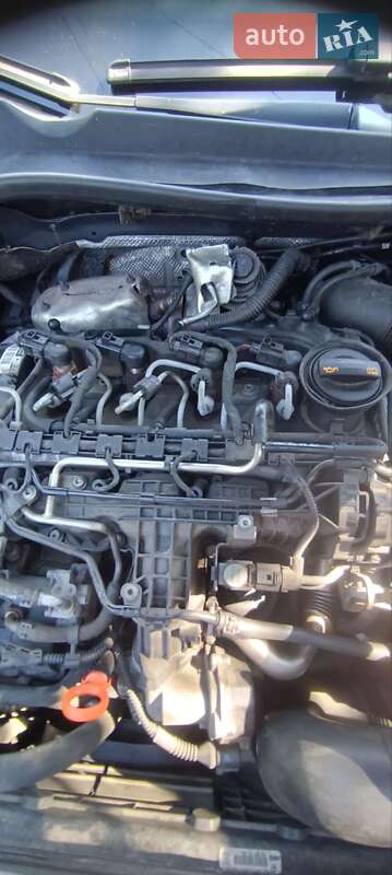 Универсал Volkswagen Golf 2009 в Звягеле