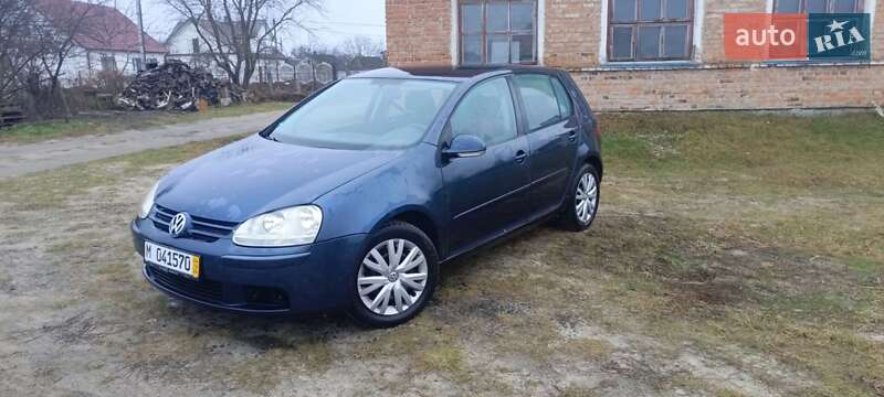 Хетчбек Volkswagen Golf 2005 в Камені-Каширському