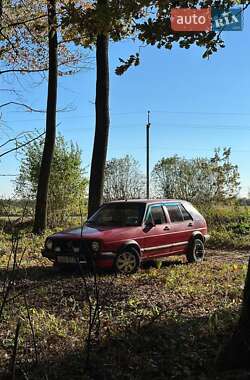 Хэтчбек Volkswagen Golf 1987 в Городке