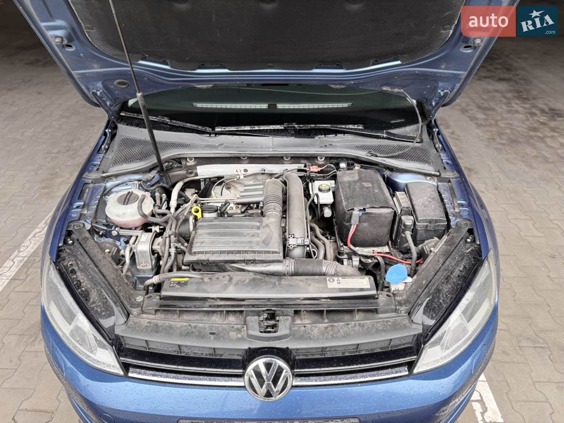 Volkswagen Golf 2013 VIN WVWZZZAUZEP517570 фото оголошення 9 з 12
