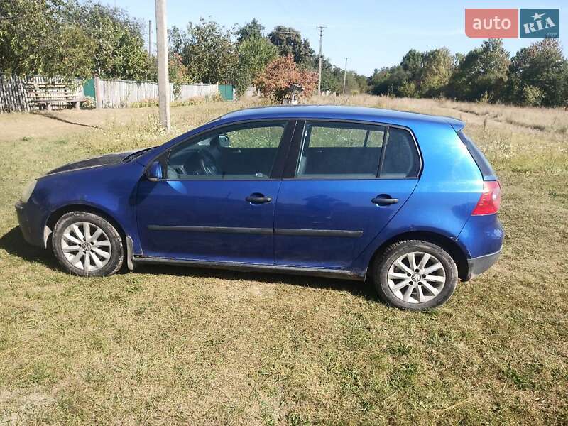 Хетчбек Volkswagen Golf 2004 в Бердичеві