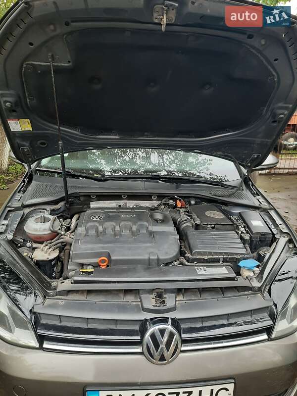 Хетчбек Volkswagen Golf 2013 в Чуднові